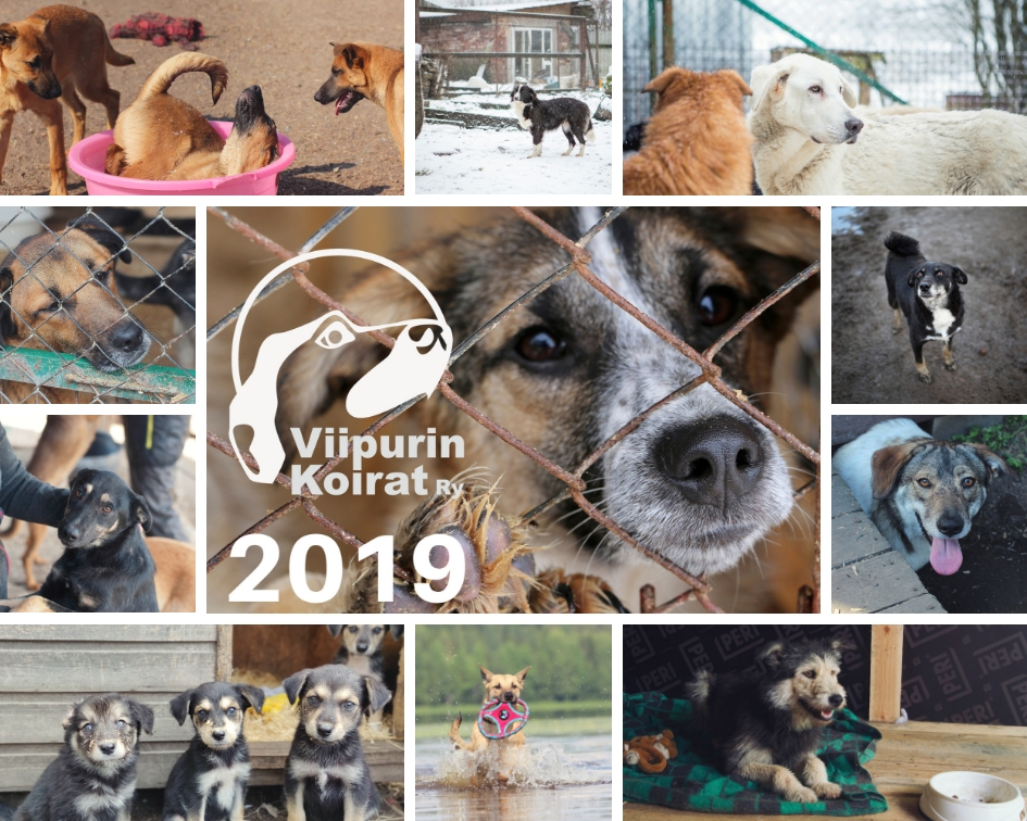 Seinäkalenteri vuodelle 2019 | Viipurin Koirat ry